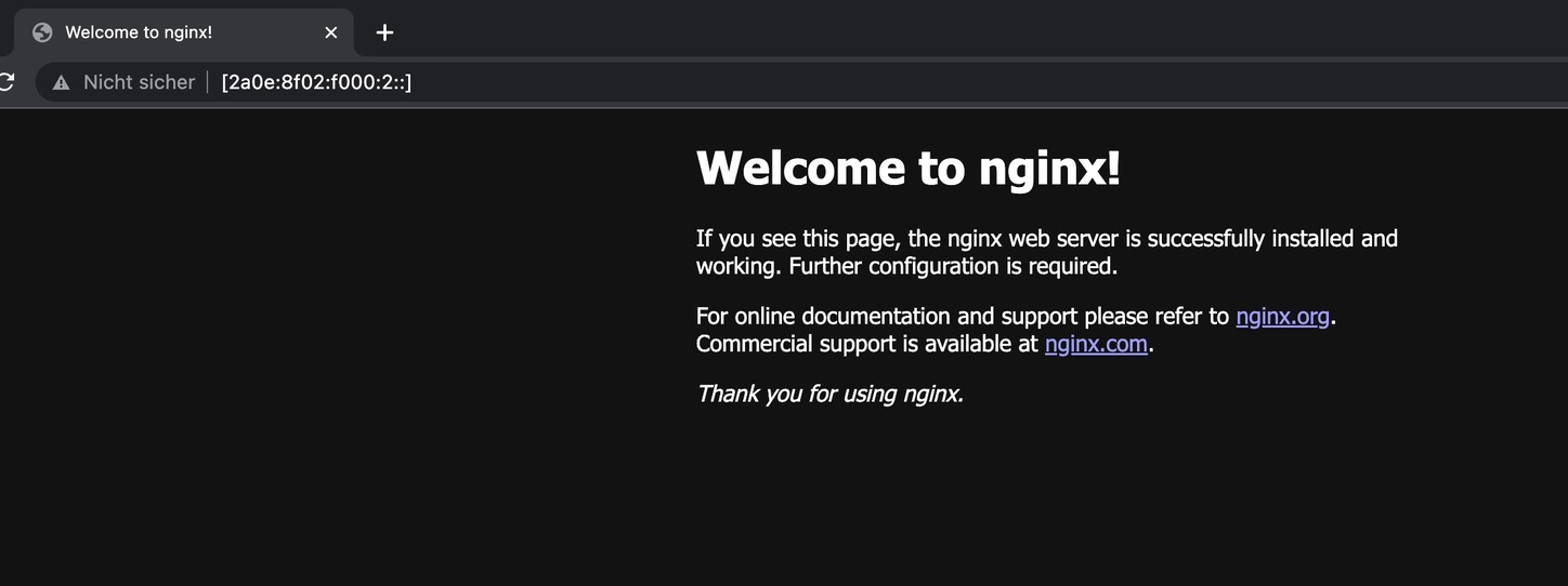 nginx screenshot